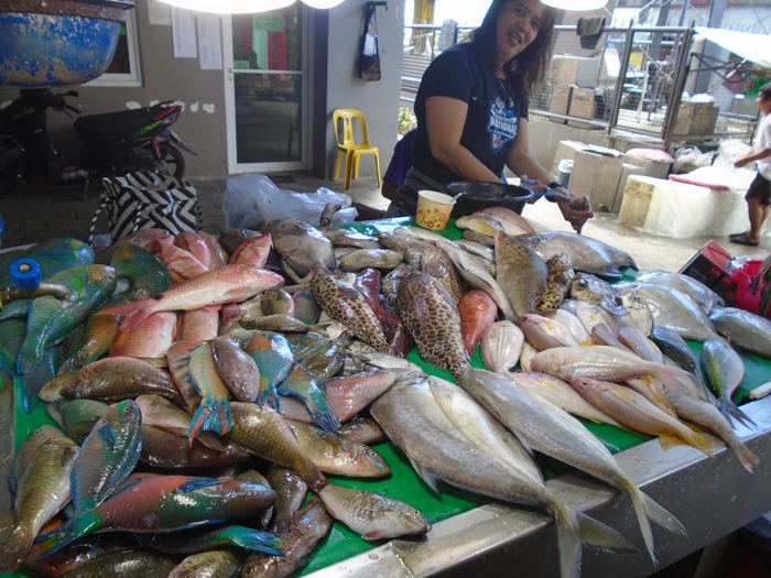fish